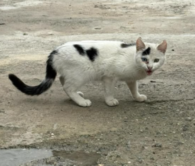 Ekran-Resmi-2026-04-09-21.34.37