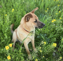 Ekran-Resmi-2026-04-09-21.35.43