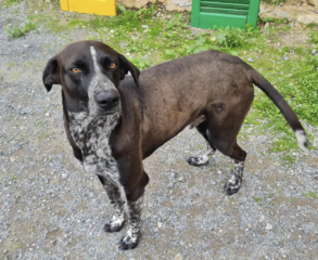 Ekran-Resmi-2026-04-09-21.37.46