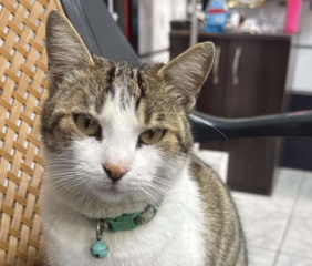 Ekran-Resmi-2026-04-09-21.46.15