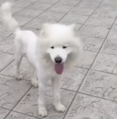 Ekran-Resmi-2026-04-09-21.47.14