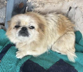 Ekran-Resmi-2026-04-09-21.48.49