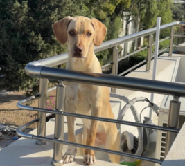 Ekran-Resmi-2026-04-09-21.49.56