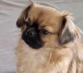 Ekran-Resmi-2026-04-09-21.53.05