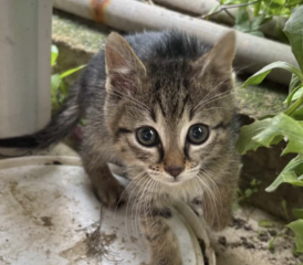 Ekran-Resmi-2026-04-09-21.54.42