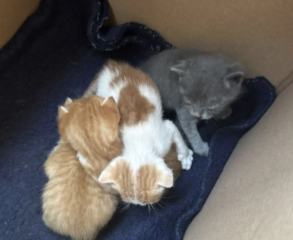 Ekran-Resmi-2026-04-09-21.55.39