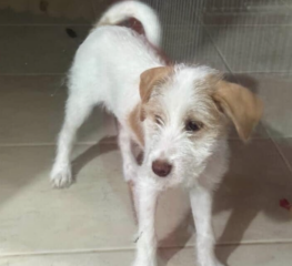 Ekran-Resmi-2026-04-09-22.03.53