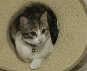 Ekran-Resmi-2026-04-09-22.04.55