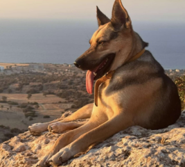 Ekran-Resmi-2026-04-09-22.06.00