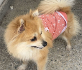 Ekran-Resmi-2026-04-09-22.07.01