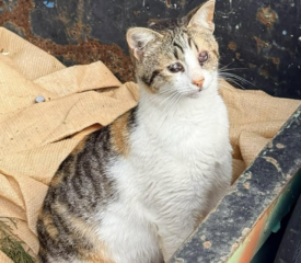 Ekran-Resmi-2026-04-09-22.07.38