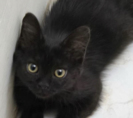 Ekran-Resmi-2026-04-09-22.10.10