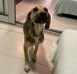 Ekran-Resmi-2026-04-09-22.11.25