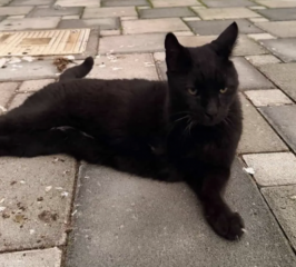 Ekran-Resmi-2026-04-09-22.12.38