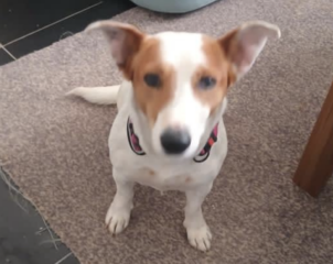 Ekran-Resmi-2026-04-09-23.08.47