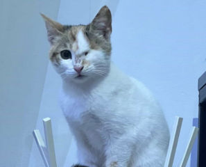 Ekran-Resmi-2026-04-09-23.09.45