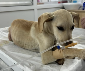 Ekran-Resmi-2026-04-09-23.11.30