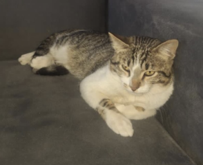 Ekran-Resmi-2026-04-09-23.14.54