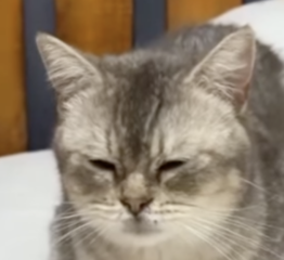 Ekran-Resmi-2026-04-09-23.23.30