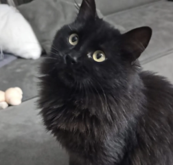 Ekran-Resmi-2026-04-09-23.24.20