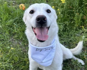 Ekran-Resmi-2026-04-09-23.25.26