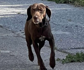 Ekran-Resmi-2026-04-09-23.26.30