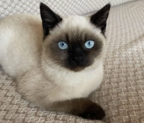 Ekran-Resmi-2026-04-09-23.27.48