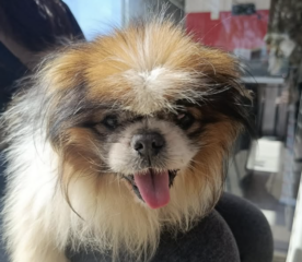 Ekran-Resmi-2026-04-09-23.29.18