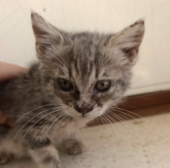 Ekran-Resmi-2026-04-09-23.30.22