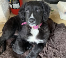 Ekran-Resmi-2026-04-09-23.31.13