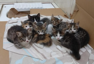 Ekran-Resmi-2026-04-09-23.34.40