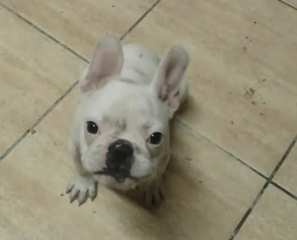 Ekran-Resmi-2026-04-09-23.36.04