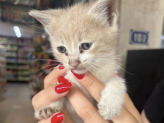 Ekran-Resmi-2026-04-09-23.37.32