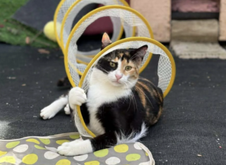 Ekran-Resmi-2026-04-09-23.38.20