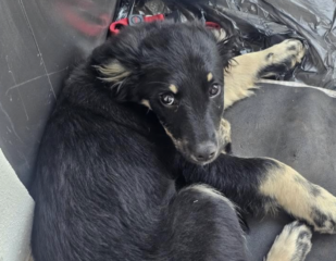 Ekran-Resmi-2026-04-09-23.39.13