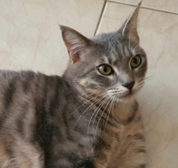 Ekran-Resmi-2026-04-09-23.41.17