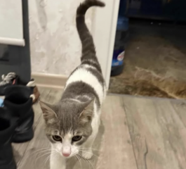 Ekran-Resmi-2026-04-09-23.43.04