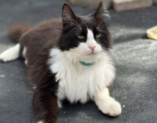 Ekran-Resmi-2026-04-09-23.44.33