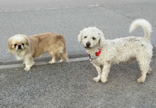 Ekran-Resmi-2026-04-09-23.46.43