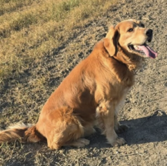 Ekran-Resmi-2026-04-09-23.52.01