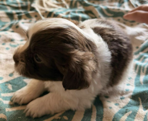 Ekran-Resmi-2026-04-09-23.53.57