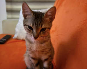 Ekran-Resmi-2026-04-09-23.55.13