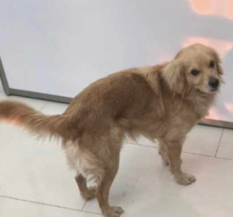 Ekran-Resmi-2026-04-10-00.00.03