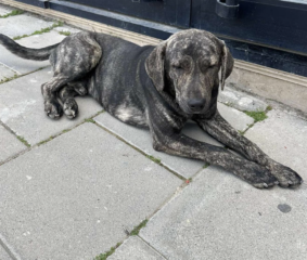 Ekran-Resmi-2026-04-10-00.02.35