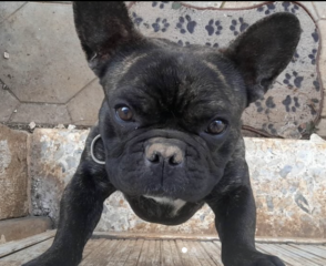 Ekran-Resmi-2026-04-10-00.03.41