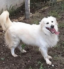 Ekran-Resmi-2026-04-10-00.07.18