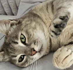 Ekran-Resmi-2026-04-10-00.09.21