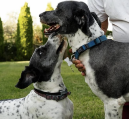 Ekran-Resmi-2026-04-10-00.11.06