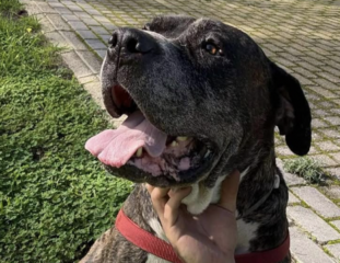 Ekran-Resmi-2026-04-10-00.12.05