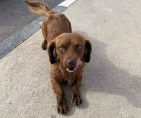 Ekran-Resmi-2026-04-10-00.13.12